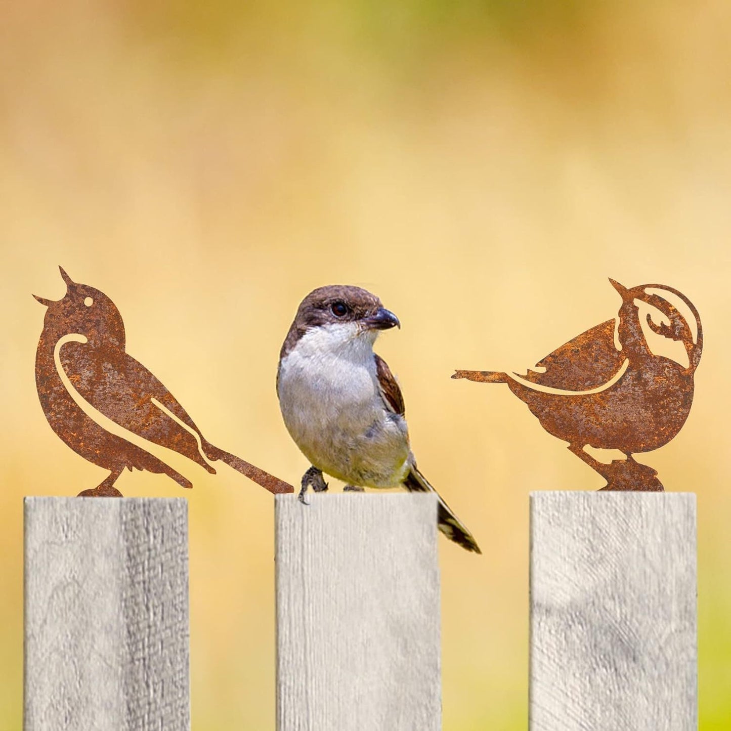 "Cortenstaal tuin vogelbeeld; roestkleur, duurzaam en weerbestendig voor elegante tuin decoratie."